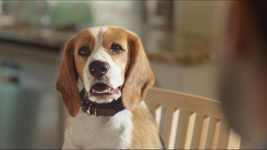 Trousers / Behind the Scenes