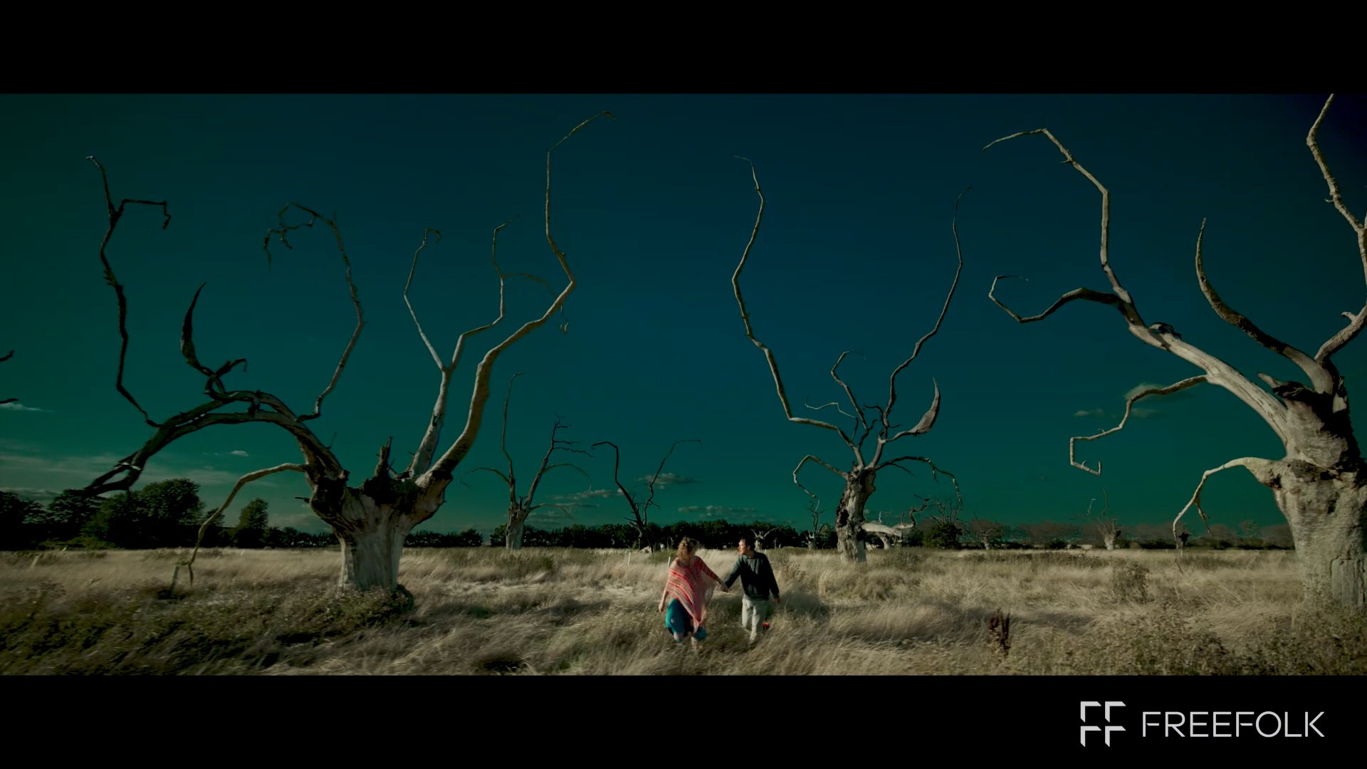 Trees