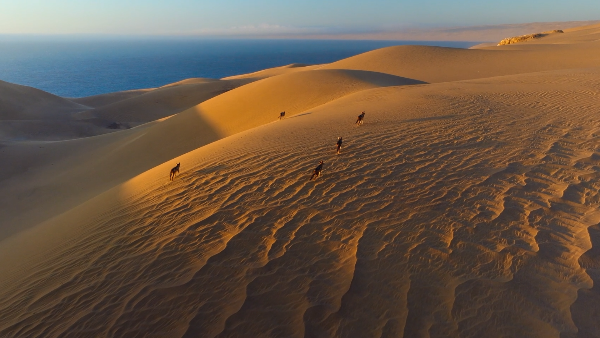 Duncan Russell / Drama Reel