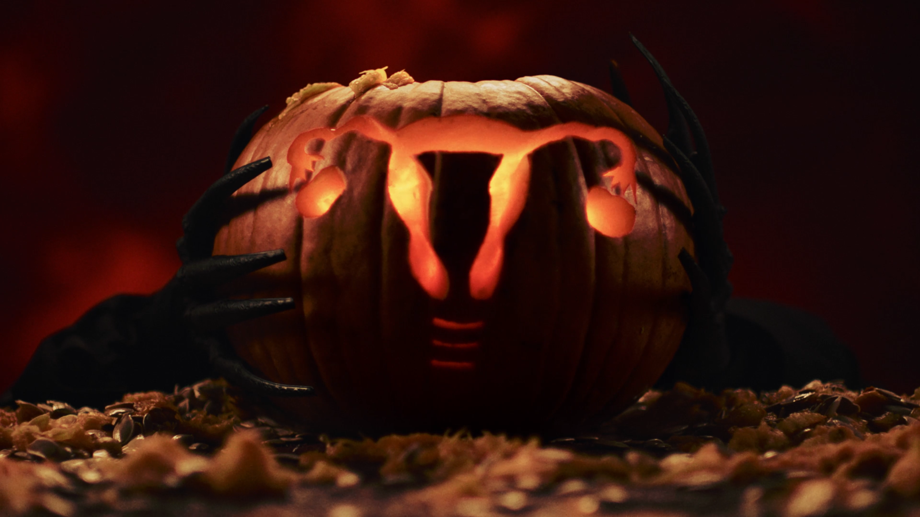 Endometriosis / Zeynep Oguz