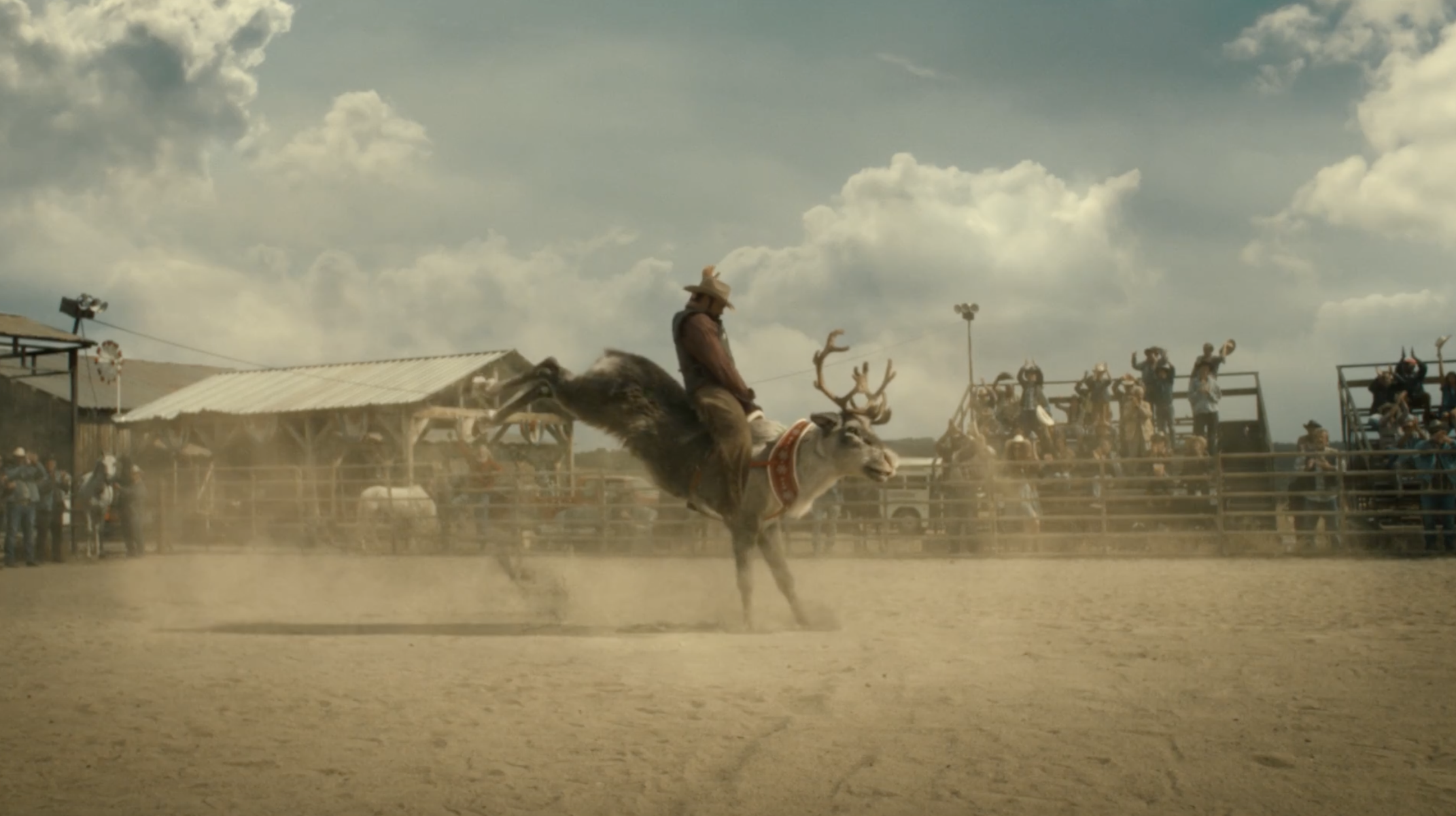 Erste Bank - Rodeo