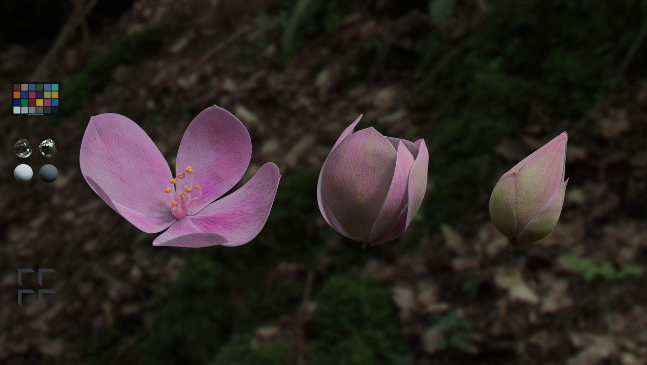 Flower